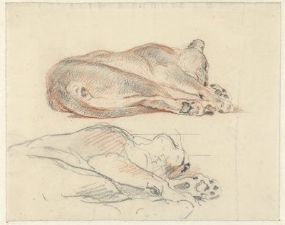 Zwei Studien eines liegenden Tigers von Guillaume Anne van der Brugghen