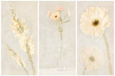 Verblasstes Blumen-Triptychon von Gustav Davidsson