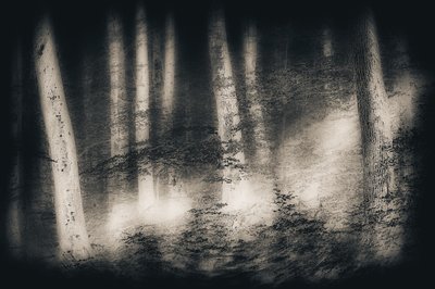Nebliger Waldtraum von Gustav Davidsson