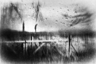 Stimmungsvolle Regenreflexionen von Gustav Davidsson