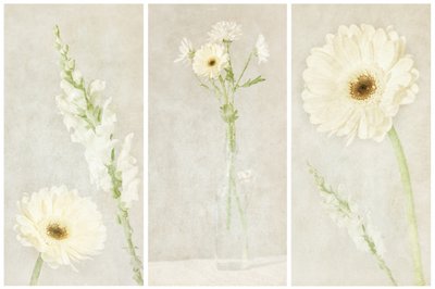 Weiche weiße Blüten von Gustav Davidsson