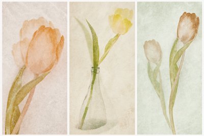 Aquarell-Tulpen-Triptychon von Gustav Davidsson