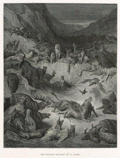 Die kranken Tiere der Pest von Gustave Dore