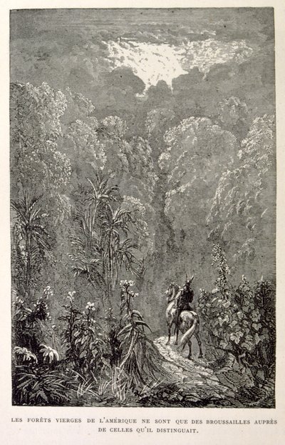 Illustration des amerikanischen Waldes. aus La legende de Croque-Mitaine. von Gustave Dore