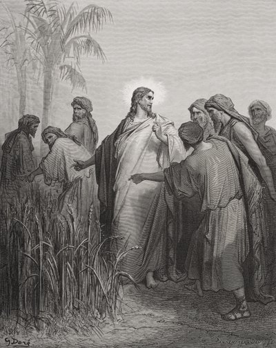 Jesus und seine Jünger im Kornfeld, Illustration aus Dores 