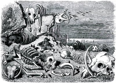 Sindbad der Seefahrer - Märchen aus Tausendundeiner Nacht - Illustration von Gustave Doré - Ausgabe Maxwell 1865 - Siebte und letzte Reise: der Elefantenfriedhof, wo Sindbad die Elfenbeinstoßzähne bergen wird von Gustave Dore