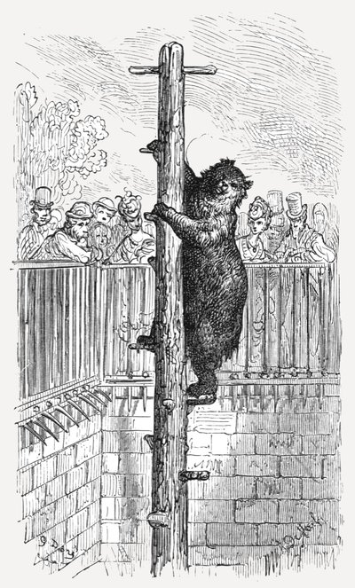 Die Bärenhöhle - Zoologische Gärten (1872) von Gustave Dore