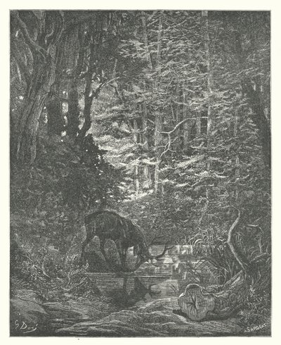 Die Fabeln von La Fontaine: Der Hirsch betrachtet sich im Bach von Gustave Dore