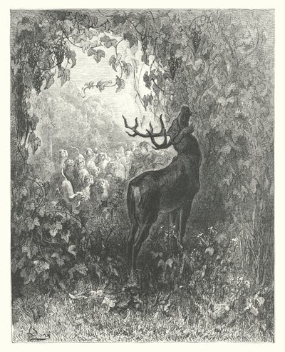 Die Fabeln von La Fontaine: Der Hirsch und die Rebe von Gustave Dore