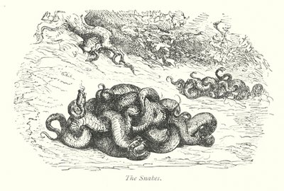 Die Schlangen (Gravur) von Gustave Dore