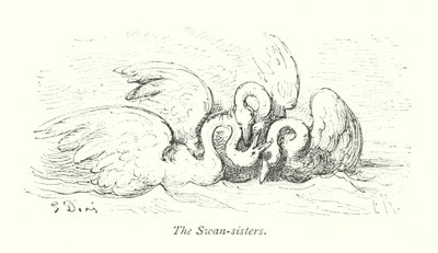 Die Schwanenschwestern (Gravur) von Gustave Dore
