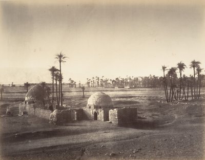 Ansicht der Ebene von Theben vom Tempel von Karnak aus von Gustave Le Gray