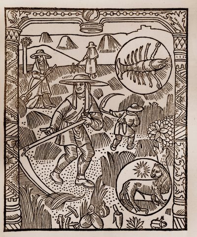 Hirtenkalender - Die Arbeiten der Monate - Juli - Holzschnitt aus dem Buch von 1496, gedruckt von Guy Marchant (Guido Mercator) in Troyes - Heu, das Mähen des Heus - Holzstich in „Le grand Calendrier et compost des bergers“ von Guy Marchant