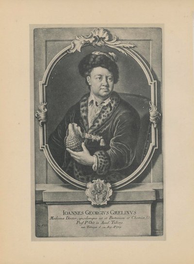 Porträt des Naturforschers, Botanikers und Geographen Johann Georg Gmelin 1709-1755, Mitte des 18. Jahrhunderts von Haid