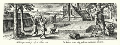 Imker von Hans (after) Bol