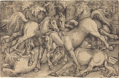 Gruppe von sieben Pferden im Wald von Hans Baldung Grien
