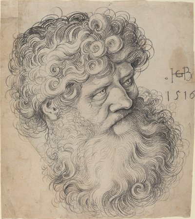 Kopf des Heiligen Johannes des Täufers von Hans Baldung Grien