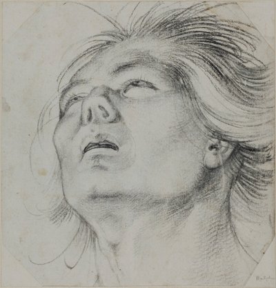  von Hans Baldung Grien