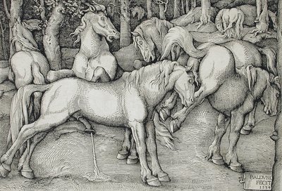  von Hans Baldung Grien