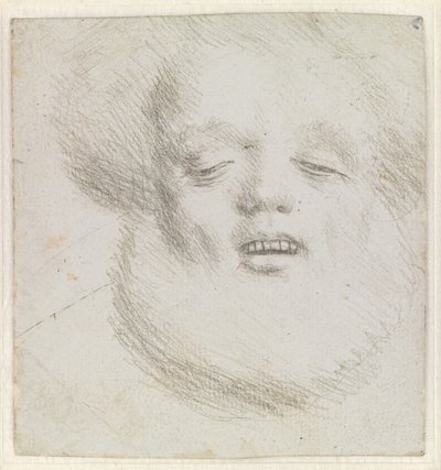 Kopf eines bärtigen Mannes en face von unten gesehen von Hans Holbein d.Æ.