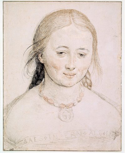 Kopf einer jungen Frau von Hans Holbein the Elder