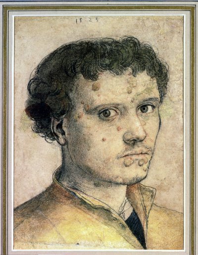 Kopf eines jungen Mannes von Hans Holbein der Jüngere