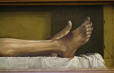 Der Leichnam Christi (Detail) von Hans Holbein der Jüngere