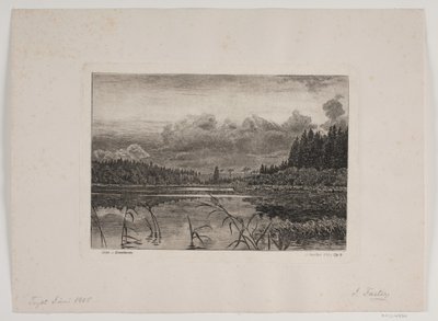 Der See im Tannenwald von Hans Julius Fæster
