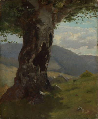 Alter Baumstamm mit Blick ins Tal von Hans Thoma