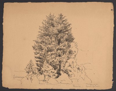 Bäume in Bernau von Hans Thoma