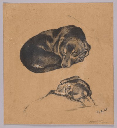 Zwei Studien eines schlafenden Dackels von Hans Thoma