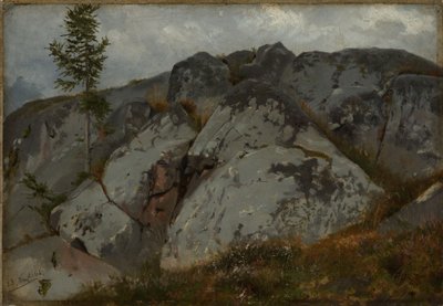 Felsblöcke mit Tännchen von Hans Thoma