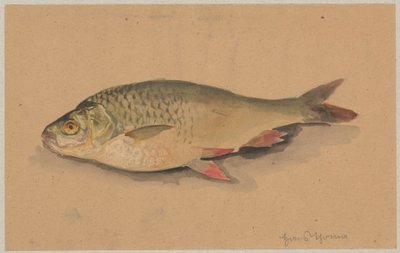 Ryba von Hans Thoma