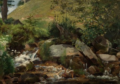Wiesenbach mit Gebüsch und Gräsern von Hans Thoma