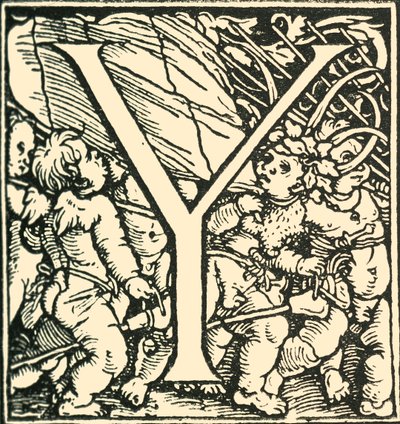 Y - Ein Alphabet von Hans Weiditz, um 1520-1521, 1908 von Hans Weiditz