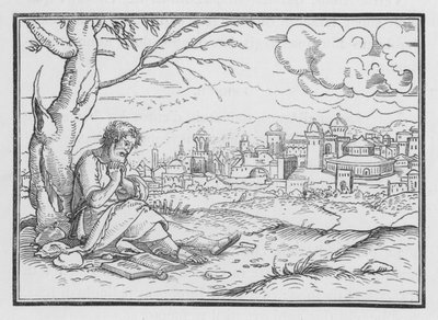 Jona beklagt sich über Gottes Barmherzigkeit, Jona IV, 5 von Hans after Holbein the Younger