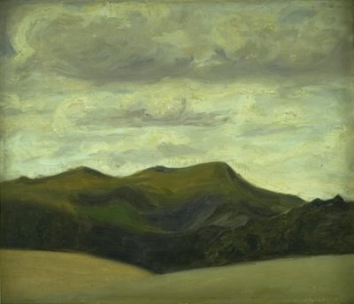 Landschaft bei Skørping, Jütland von Harald Giersing