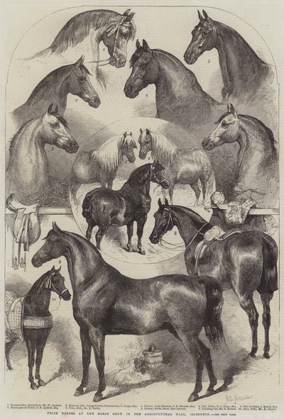 Preispferde auf der Pferdeschau in der Agricultural Hall, Islington von Harden Sidney Melville