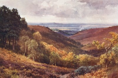 Hindhead, The Punchbowl, Blick nach Norden von Harold Sutton Palmer