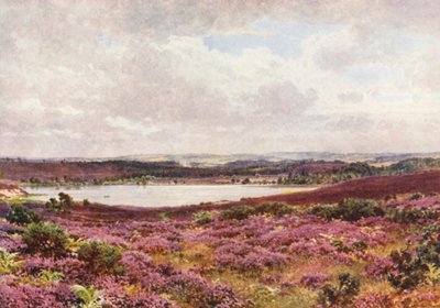 Der Große Teich, Frensham von Harold Sutton Palmer