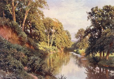 Der Fluss Mole, nahe Dorking von Harold Sutton Palmer