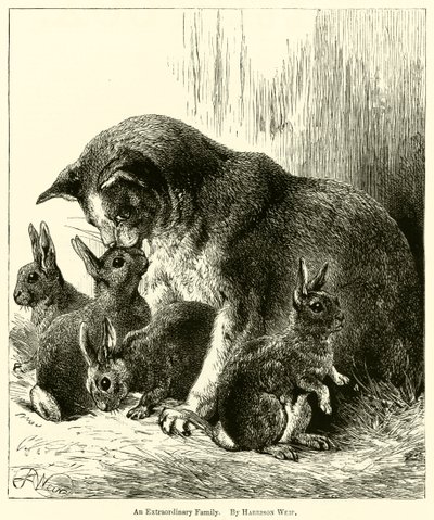 Eine außergewöhnliche Familie von Harrison William Weir