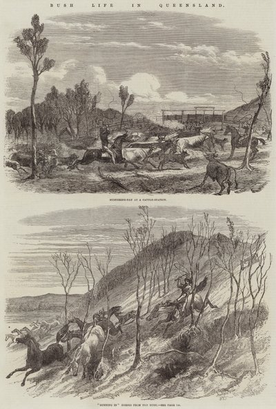 Leben im Busch in Queensland von Harrison William Weir