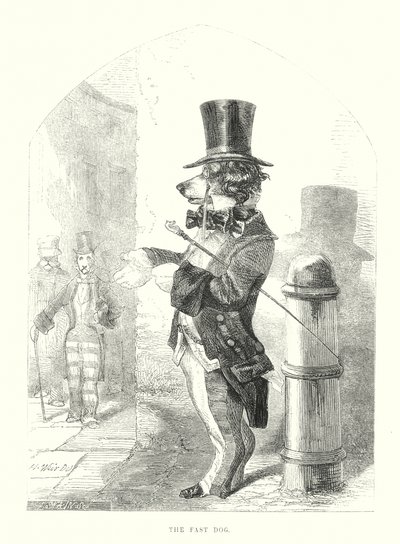 Lustige Hunde: Der schnelle Hund (Gravur) von Harrison William Weir