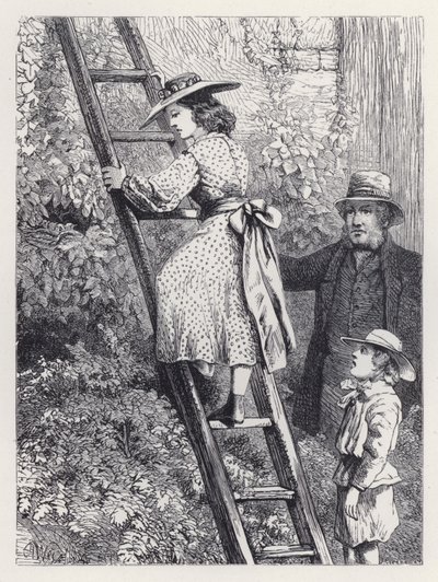 Harriet späht in das Nest der Rotkehlchen (Stich) von Harrison William Weir