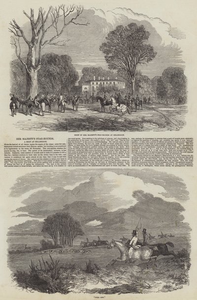 Die Jagdhunde Ihrer Majestät in Hillingdon von Harrison William Weir
