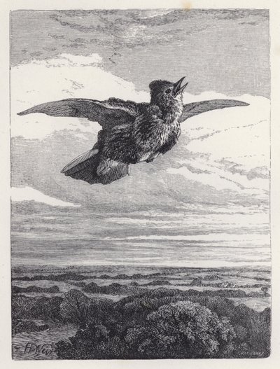Das Lied der Feldlerche von Harrison William Weir