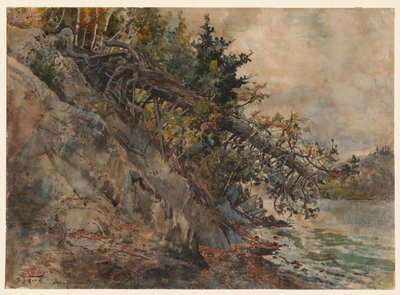 Lake Memphremagog, um 1880 von Harry Fenn