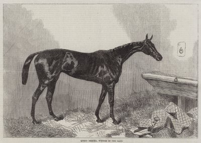 Königin Bertha, Gewinnerin der Oaks von Harry Hall
