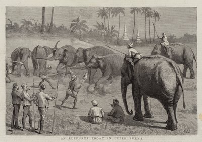 Ein Elefanten-Pooay in Oberburma von Harry Hamilton Johnston